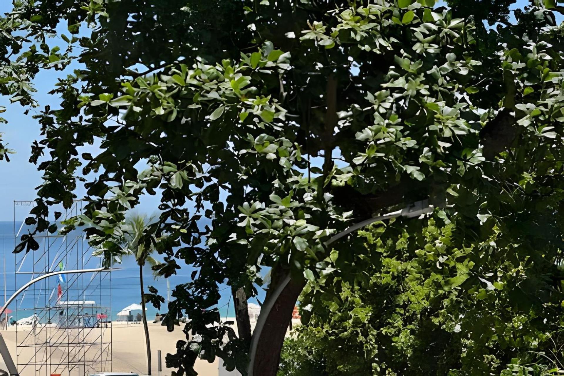 Pe Na Areia Lägenhet Rio de Janeiro Exteriör bild